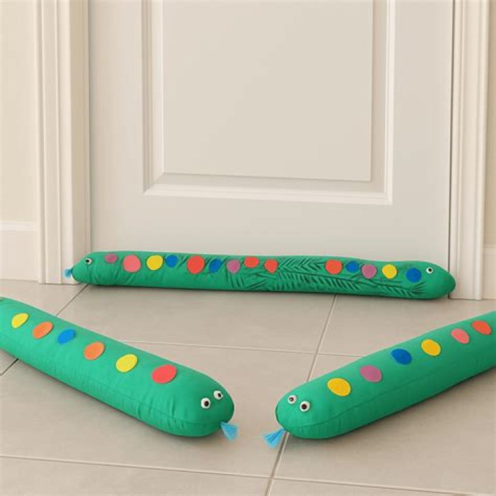 What is inside a door snake