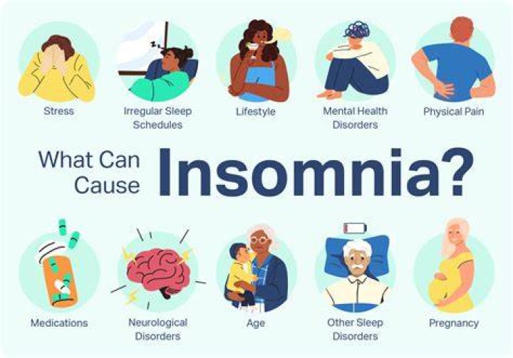 What is insomnia REST client