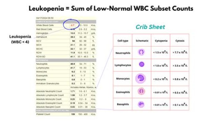 What is leukopenia caused by