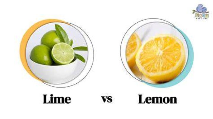 What is lime render used for