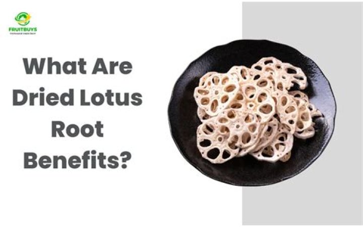 What is lotus root used for