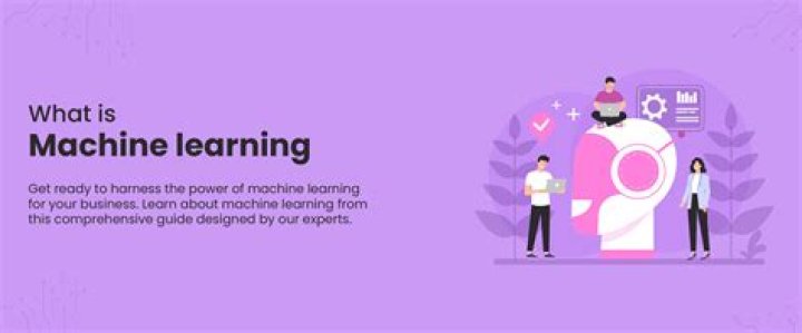 What is machine reductionism