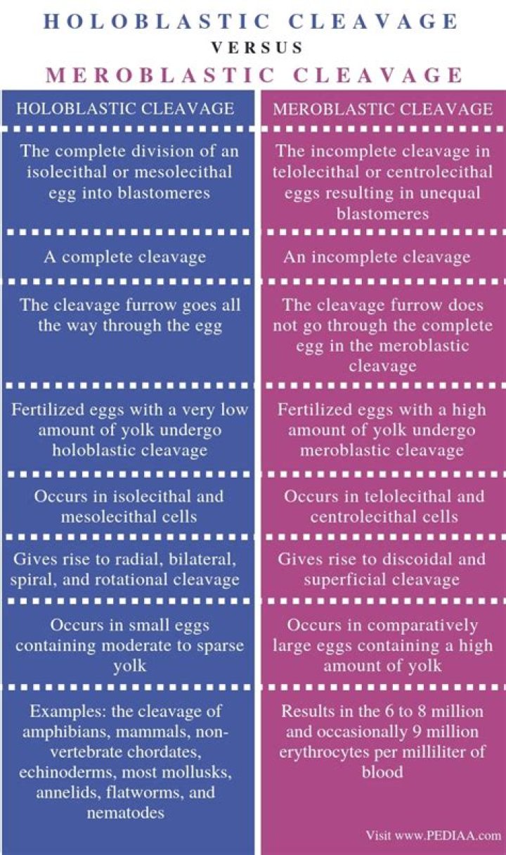 What is Meroblastic cleavage