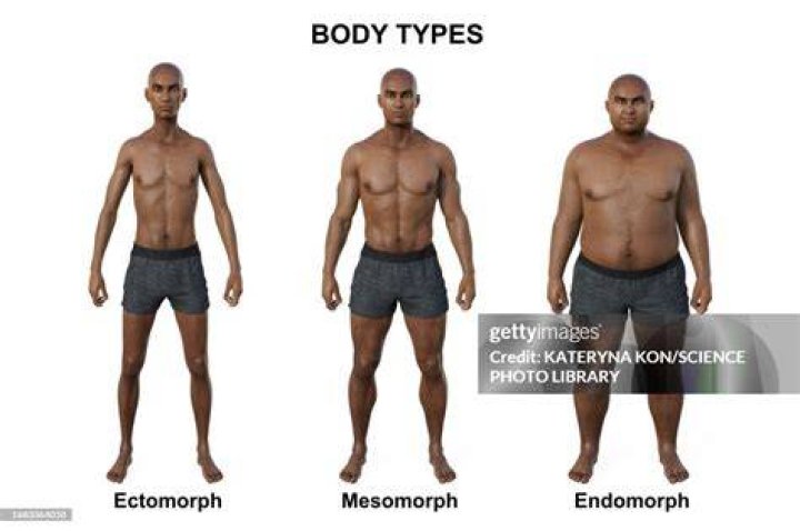What is mesomorph supplement