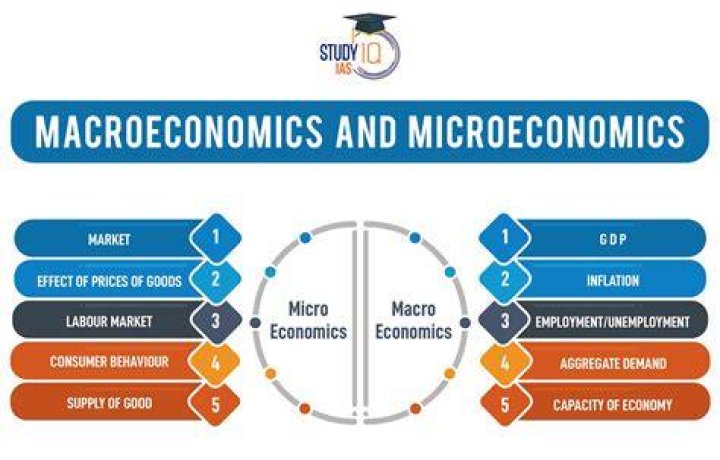 What is microeconomics study