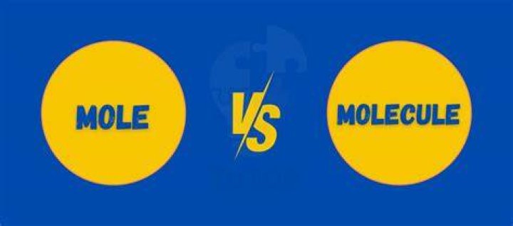 What is Mole and molecule