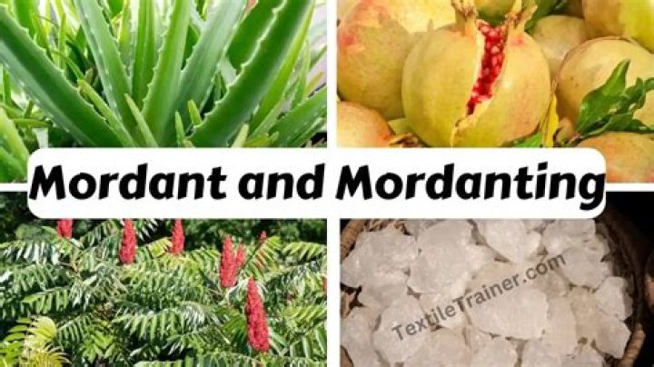 What is mordant give example