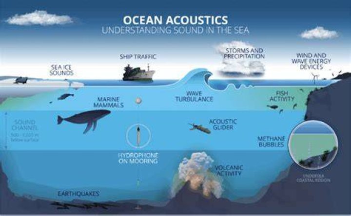 What is natural sound source