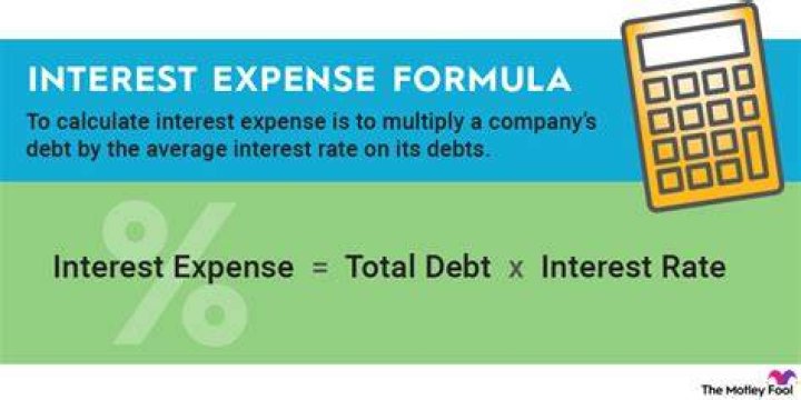 What is net interest expense