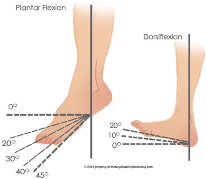 What is normal ROM for ankle