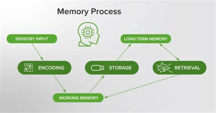 What is our memory dependent