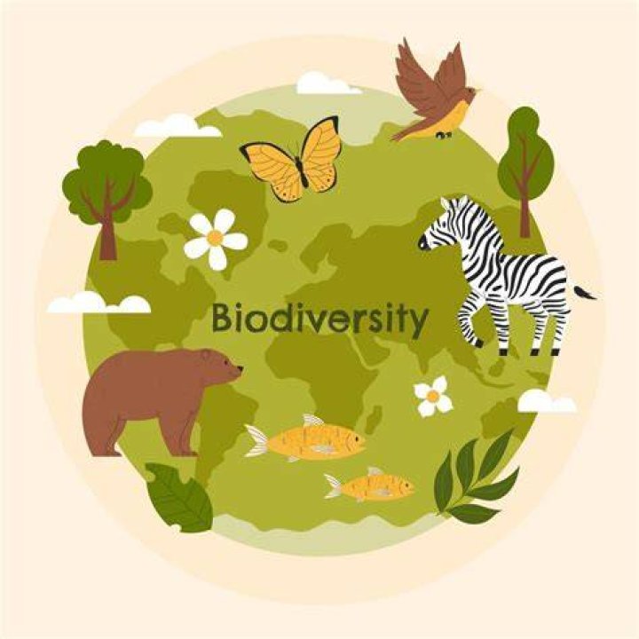 What is overall biodiversity
