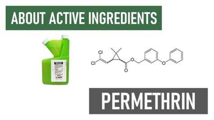 What is permethrin made from