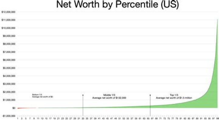 What is Pickleboy net worth
