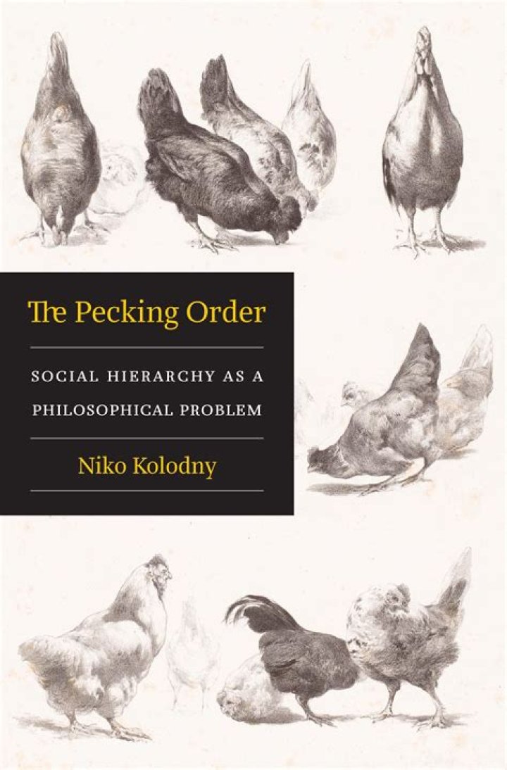 What is Popos pecking order