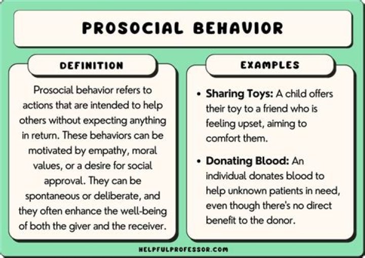 What is pro social Modelling