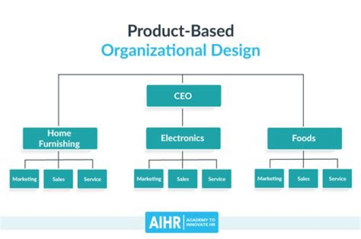 What is product organization
