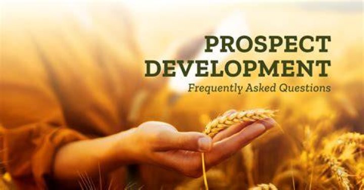 What is prospect development