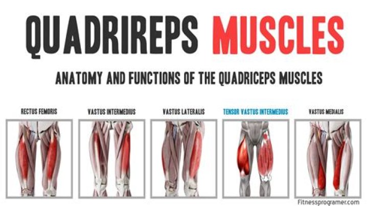 What is quadriceps exercise
