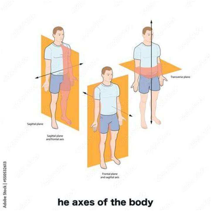 What is sagittal and coronal