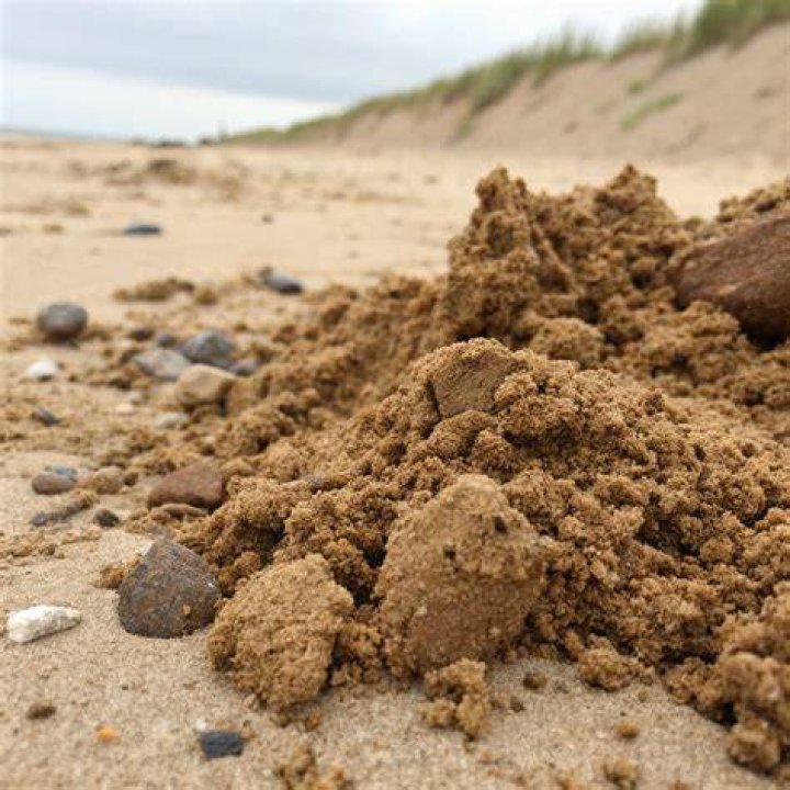 What is sandy soil used for