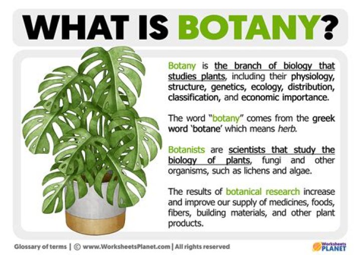 What is selection in botany