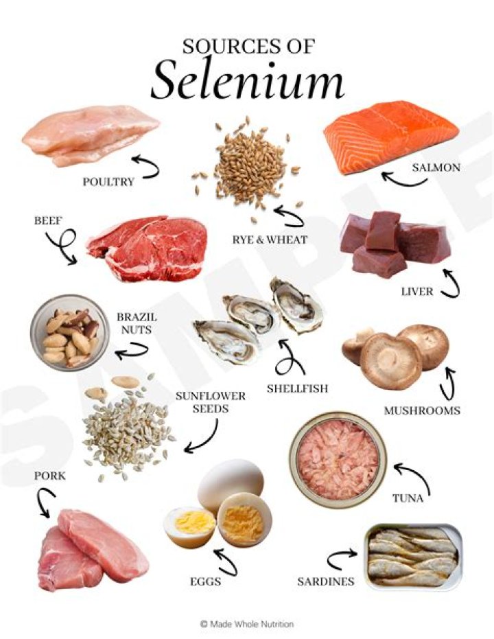 What is Selenium isDisplayed