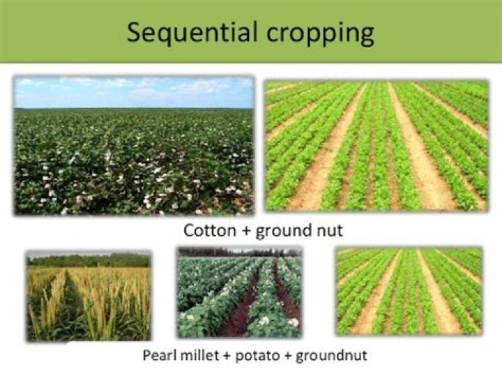 What is sequential cropping