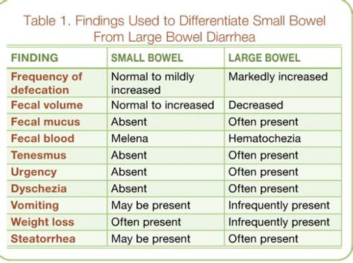 What is small bowel diarrhea