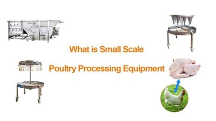 What is small scale poultry