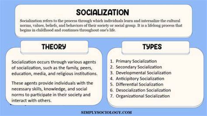 What is socialization theory