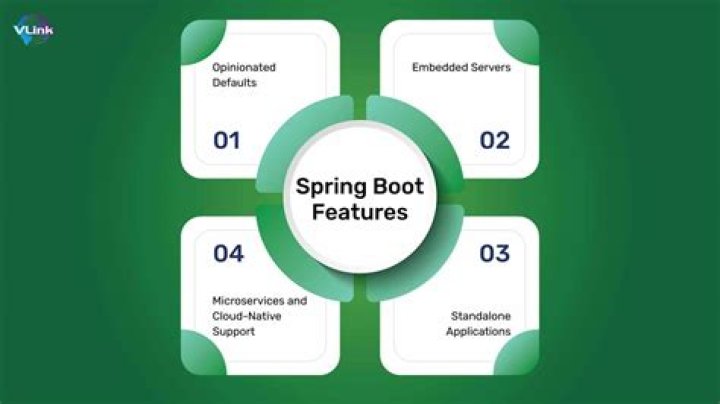 What is spring boot optional