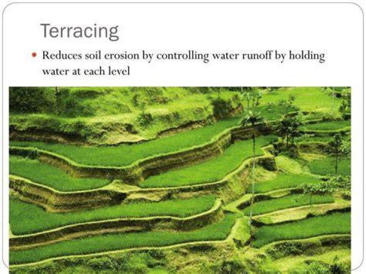 What is terracing in science