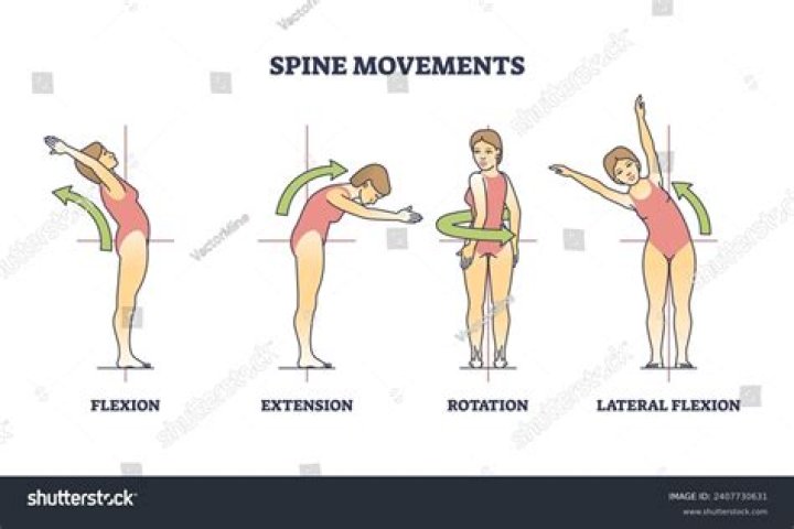 What is the flexion position
