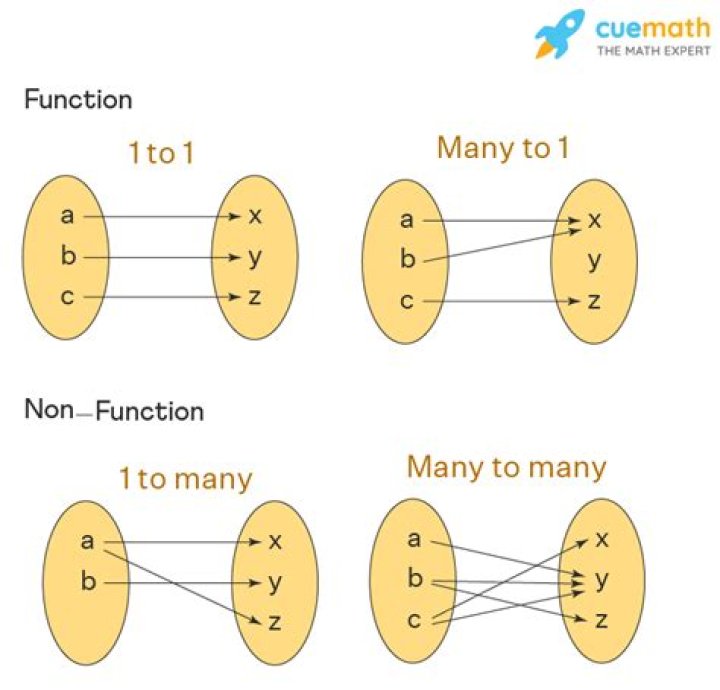 What is the function in math