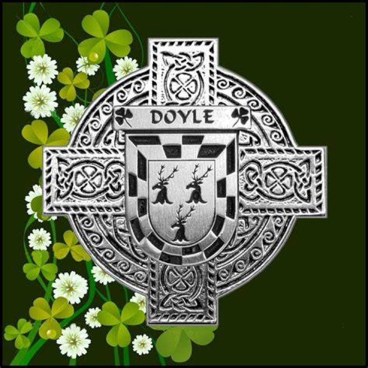 What is the Irish for Doyle