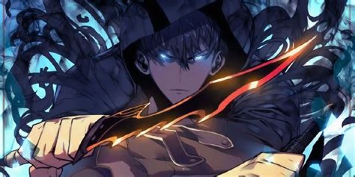 What is the leveling process