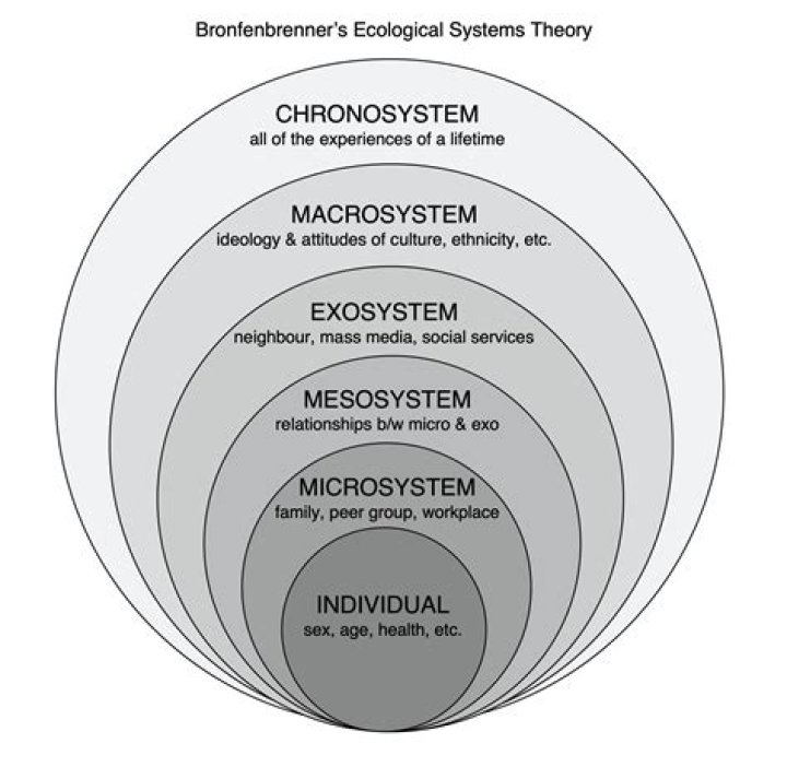What is the Mesosystem level