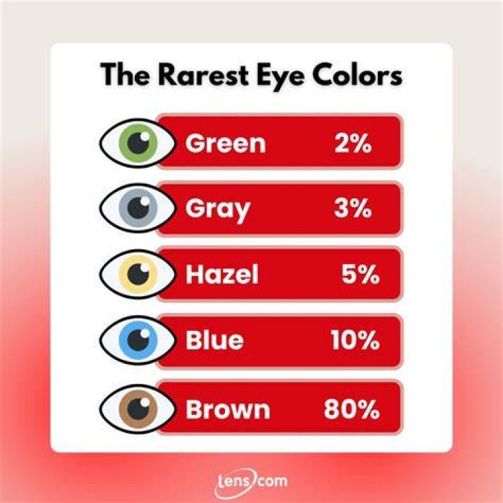 What is the rarest bug ever