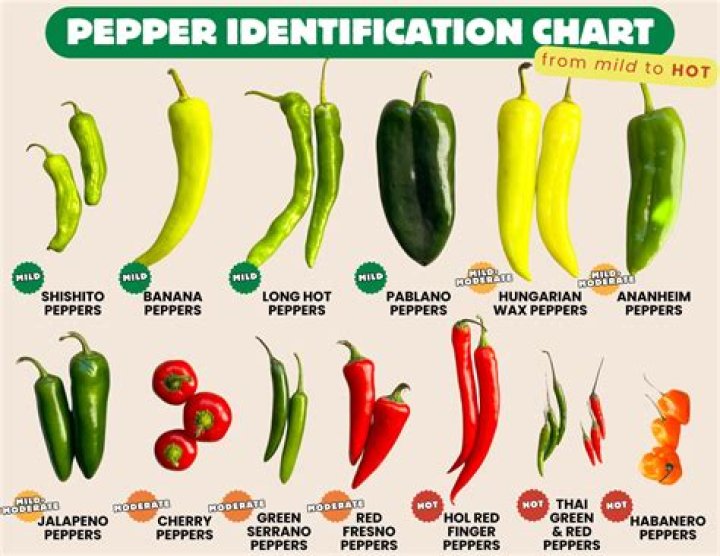 What is the smallest pepper