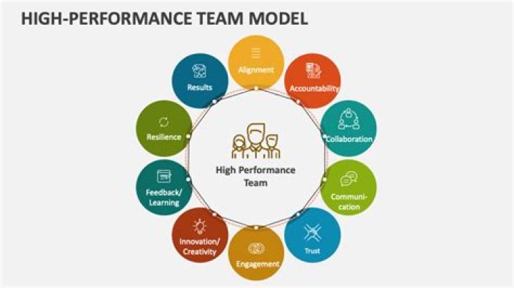 What is the team performance