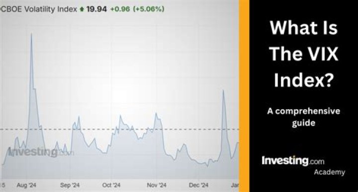 What is the VIX comprised of