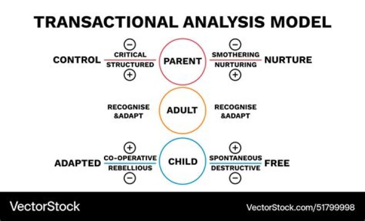 What is transactional theory