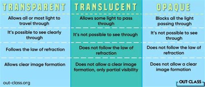 What is translucent in color