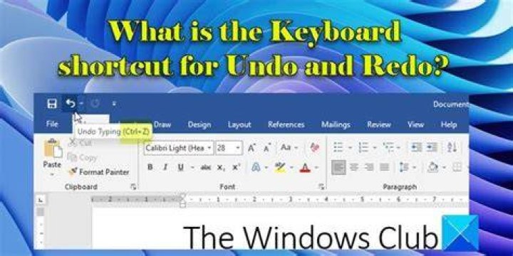 What is undo on the keyboard
