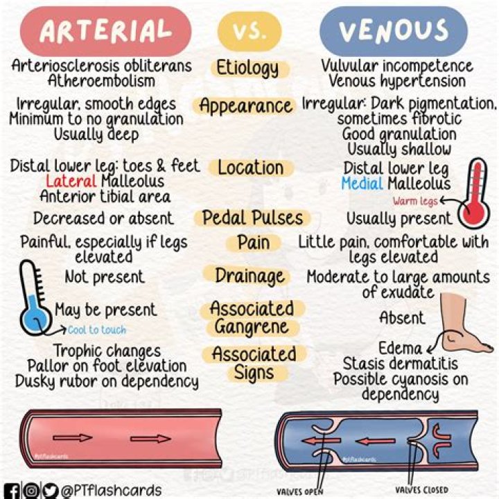 What is venous blood testing