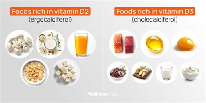 What is vitamin D2 made from