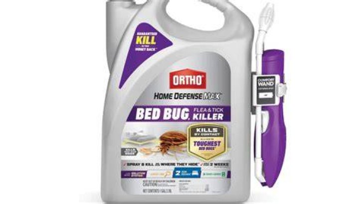 What kills bugs immediately