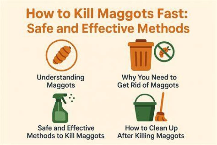 What kills maggots instantly