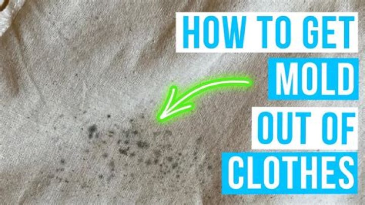 What kills mildew on fabric